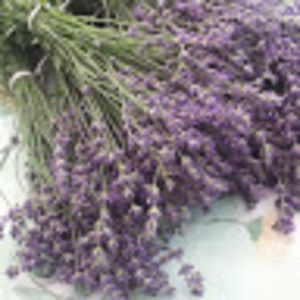 Meet your Posher, Irina